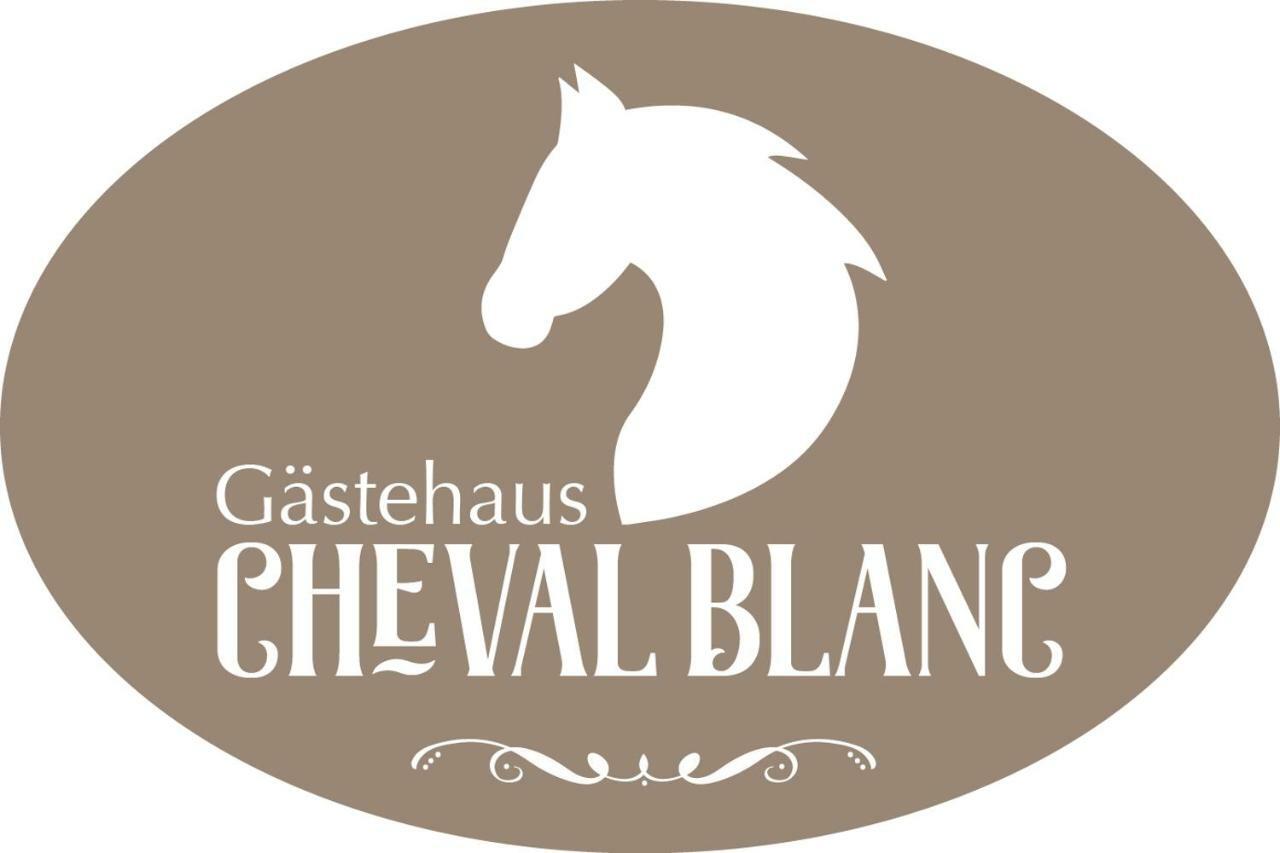 Gaestehaus Cheval Blanc Lorch am Rhein Kültér fotó