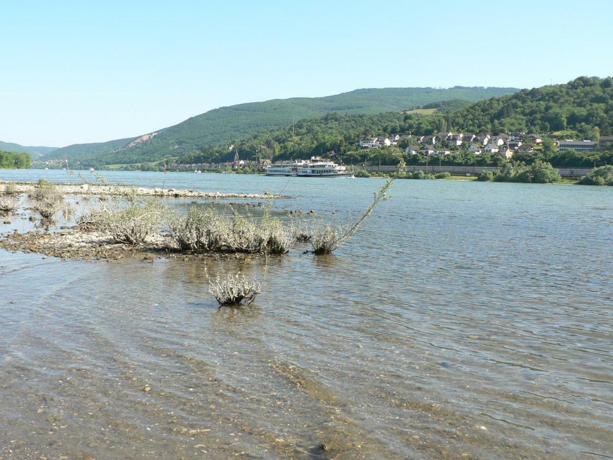 Gaestehaus Cheval Blanc Lorch am Rhein Kültér fotó