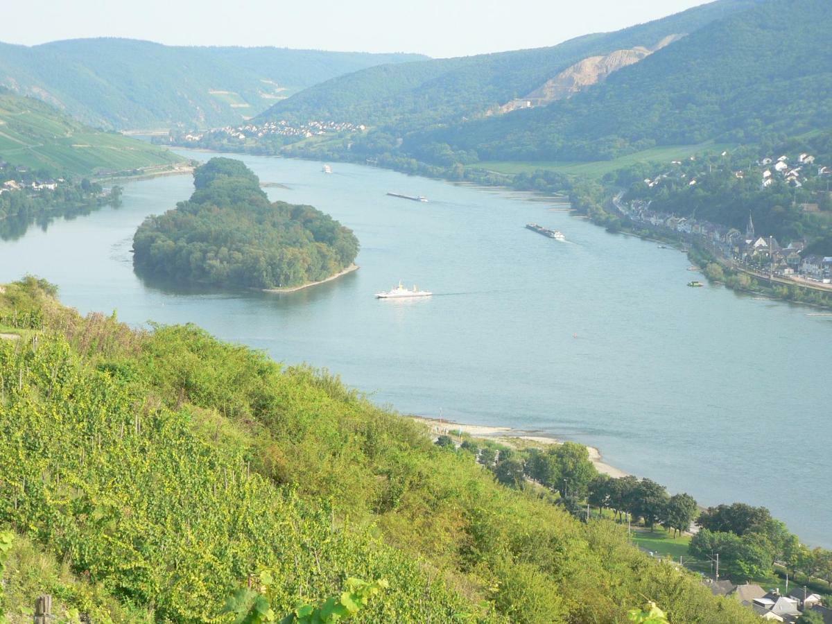 Gaestehaus Cheval Blanc Lorch am Rhein Kültér fotó