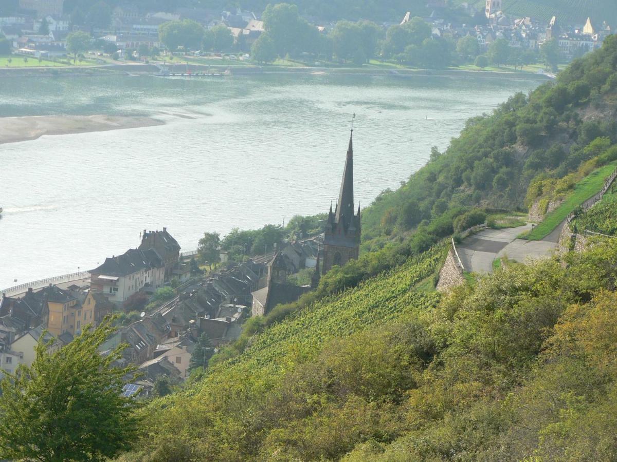Gaestehaus Cheval Blanc Lorch am Rhein Kültér fotó